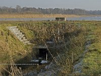 NL, Noord-Brabant, Valkenswaard, fishponds 26, Saxifraga-Jan van der Straaten