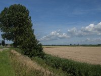 NL, Noord-Brabant, Steenbergen, Vlietdijk 5, Saxifraga-Jan van der Straaten