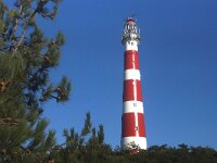 NL, Friesland, Ameland, Vuurtoren 3, Saxifraga-Foto Fitis-Sytske Dijksen