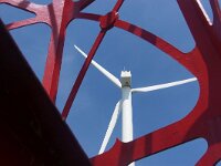 NL, Noord-Holland, Hollands Kroon, Wieringen 4, Saxifraga-Foto Fitis-Sytske Dijksen