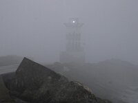 NL, Noord-Holland, IJmuiden, Zuidpier1, Saxifraga-Foto Fitis-Sytske Dijksen