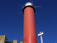 NL, Noord-Holland, Schagen, Noorderduinen 1, Saxifraga-Foto Fitis-Sytske Dijksen