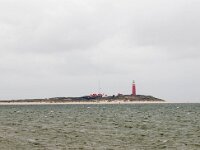 NL, Noord-Holland, Texel 43, Saxifraga-Bart Vastenhouw