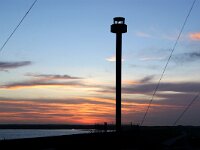 NL, Noord-Holland, Texel, Licht van Troost 1, Saxifraga-Foto Fitis-Sytske Dijksen