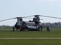 NL, Noord-Holland, Texel 50, Saxifraga-Foto Fitis-Sytske Dijksen