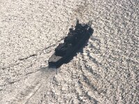 NL, Noord-Holland, Texel 51, Saxifraga-Foto Fitis-Sytske Dijksen