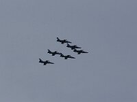 NL, Noord-Holland, Texel, De Hors 125, Saxifraga-Foto Fitis-Sytske Dijksen