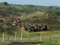 NL, Noord-Holland, Texel, Geul 1, Saxifraga-Foto Fitis-Sytske Dijksen
