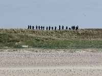 NL, Noord-Holland, Texel, Joost Dourleinkazerne 2, Saxifraga-Foto Fitis-Sytske Dijksen