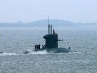 NL, Noord-Holland, Texel, Marsdiep 3 Saxifraga-Foto Fitis-Sytske Dijksen