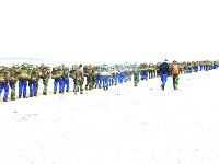 NL, Noord-Holland, Texel, paal 9 28, Saxifraga-Foto Fitis-Sytske Dijksen