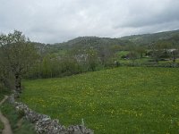 F, Lozere, Fraissinet-de-Lozere, Runes 1, Saxifraga-Willem van Kruijsbergen