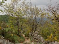 F, Lozere, Fraissinet-de-Lozere, Runes 10, Saxifraga-Annemiek Bouwman