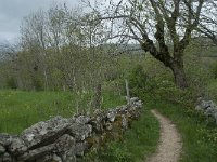 F, Lozere, Fraissinet-de-Lozere, Runes 2, Saxifraga-Willem van Kruijsbergen