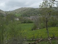 F, Lozere, Fraissinet-de-Lozere, Runes 4, Saxifraga-Willem van Kruijsbergen