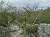 F, Lozere, Fraissinet-de-Lozere, Runes 6, Saxifraga-Willem van Kruijsbergen