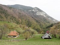 RO, Brasov, Moieciu, Magura 6, Saxifraga-Tom Heijnen