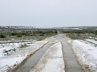 RO, Constanta, Gradina, Cheile Dobrogei 2, Saxifraga-Tom Heijnen