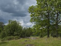 S, Jonkoping Lan, Varnamo, Strakeved 11, Saxifraga-Jan van der Straaten