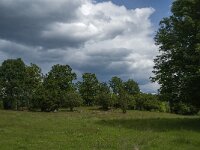 S, Jonkoping Lan, Varnamo, Strakeved 3, Saxifraga-Jan van der Straaten