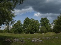 S, Jonkoping Lan, Varnamo, Strakeved 4, Saxifraga-Jan van der Straaten