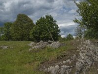 S, Jonkoping Lan, Varnamo, Strakeved 5, Saxifraga-Jan van der Straaten