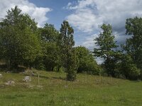 S, Jonkoping Lan, Varnamo, Strakeved 6, Saxifraga-Jan van der Straaten