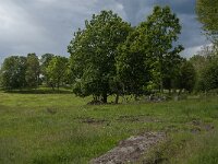 S, Jonkoping Lan, Varnamo, Strakeved 9, Saxifraga-Jan van der Straaten