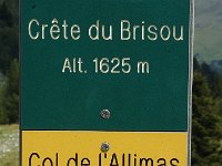 F, Isere, Gresse-en-Vercors, Crete du Brisou 3, Saxifraga-Jan van der Straaten