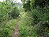 D, Rheiland-Pfalz, Cochem, Apolloweg 3, Saxifraga-Foto Fitis-Sytske Dijksen