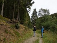 D, Rheiland-Pfalz, Monschau, Perlenbachtal 1, Saxifraga-Foto Fitis-Sytske Dijksen