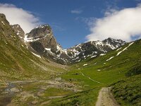 CH, Graubuenden, Guarda, Val Tuoi 4, Saxifraga-Foto Fitis-Sytske Dijksen - kopie