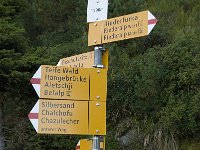 CH, Wallis, Riederalp, Aletschwald 7, Saxifraga-Willem van Kruijsbergen
