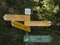 CH, Wallis, Riederalp, Aletschwald 8, Saxifraga-Willem van Kruijsbergen