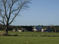 NL, Noord-Brabant, Bergeijk, Liskens 2, Saxifraga-Jan van der Straaten