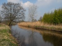 NL, Noord-Brabant, Sint-Oedenrode, Bobbenagelse Brug 8, Saxifraga-Jan van der Straaten