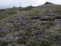 Summit Cross-Gipfelkreuz