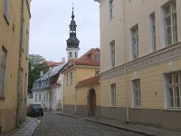 EST, Harjumaa, Tallinn 10, Saxifraga-Hans Boll