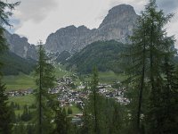 I, Sued-Tirol, Corvara, Kolfuschg 32, Saxifraga-Annemiek Bouwman