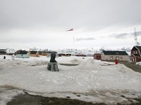 NO, Spitsbergen, Ny-Alesund 12, Saxifraga-Bart Vastenhouw