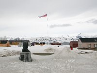 NO, Spitsbergen, Ny-Alesund 13, Saxifraga-Bart Vastenhouw