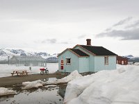 NO, Spitsbergen, Ny-Alesund 3, Saxifraga-Bart Vastenhouw