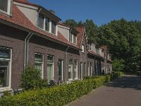 NL, Limburg, Horst aan de Maas, Griendtsveen 1, Saxifraga-Marijke Verhagen