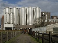 NL, Noord-Brabant, Valkenswaard, Dommelsche Bierbrouwerij 11, Saxifraga-Jan van der Straaten