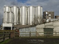 NL, Noord-Brabant, Valkenswaard, Dommelsche Bierbrouwerij 12, Saxifraga-Jan van der Straaten