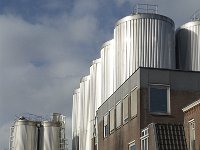 NL, Noord-Brabant, Valkenswaard, Dommelsche Bierbrouwerij 3, Saxifraga-Jan van der Straaten