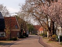 NL, Noord-Brabant, Waalwijk, Waspik 1, Saxifraga-Hans Dekker