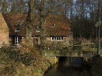 B, Limburg, Overpelt, Kleine Molen 2, Saxifraga-Marijke Verhagen