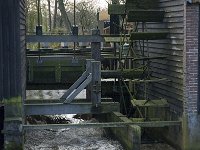 NL, Noord-Brabant, Valkenswaard, Dommelsche Watermolen 10, Saxifraga-Jan van der Straaten