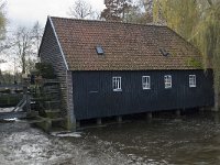NL, Noord-Brabant, Valkenswaard, Dommelsche Watermolen 9, Saxifraga-Jan van der Straaten